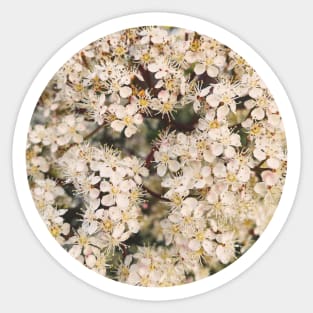 Tiny Flowers Sticker